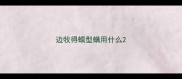 边牧得蠕型螨用什么