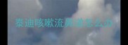 泰迪咳嗽流鼻涕怎么办
