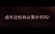 成年边牧有必要补钙吗