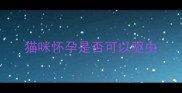 猫咪怀孕是否可以驱虫