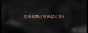 宠物真菌皮肤病洁尔阴