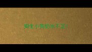 狗生小狗奶水不足