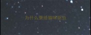 为什么要给猫咪驱虫