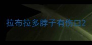 拉布拉多脖子有伤口