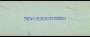 狗狗半夜突然哼哼唧唧