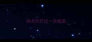 幼犬只打过一次疫苗