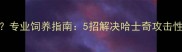 哈士奇拆家怎么办专业饲养指南5招解决哈士奇攻击性家具问题推荐