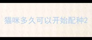 猫咪多久可以开始配种