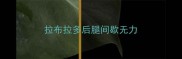 拉布拉多后腿间歇无力