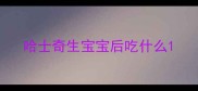 哈士奇生宝宝后吃什么
