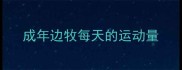 成年边牧每天的运动量