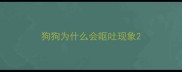狗狗为什么会呕吐现象
