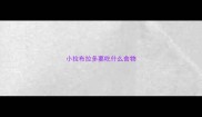 小拉布拉多要吃什么食物