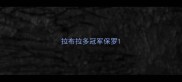 拉布拉多冠军保罗