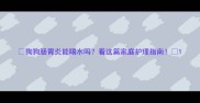 狗狗肠胃炎能喝水吗看这篇家庭护理指南
