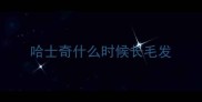 哈士奇什么时候长毛发