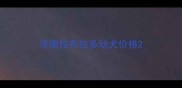 济南拉布拉多幼犬价格