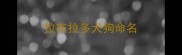 拉布拉多犬狗命名