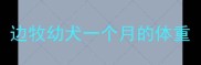 边牧幼犬一个月的体重