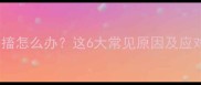 猫咪突然抽搐怎么办这6大常见原因及应对措施指南