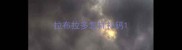 拉布拉多怎样补钙