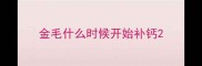 金毛什么时候开始补钙