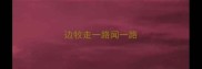 边牧走一路闻一路