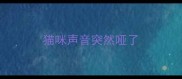 猫咪声音突然哑了