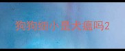 狗狗细小是犬瘟吗