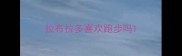 拉布拉多喜欢跑步吗