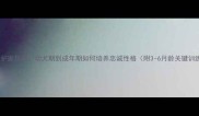 杜高犬护家指南幼犬期到成年期如何培养忠诚性格附3-6月龄关键训练法
