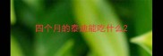 四个月的泰迪能吃什么