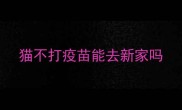 猫不打疫苗能去新家吗