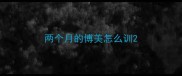 两个月的博美怎么训