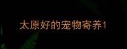 太原好的宠物寄养