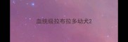 血统级拉布拉多幼犬