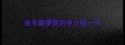 金毛最便宜的多少钱一只