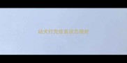 幼犬打完疫苗状态很好