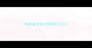 狗狗疫苗首次接种打几次