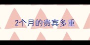 2个月的贵宾多重