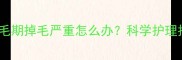 拉布拉多幼犬换毛期掉毛严重怎么办科学护理指南及常见误区