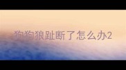 狗狗狼趾断了怎么办