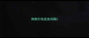 狗狗打完疫苗间隔