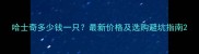 哈士奇多少钱一只最新价格及选购避坑指南