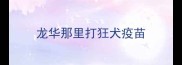 龙华那里打狂犬疫苗