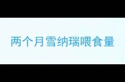 两个月雪纳瑞喂食量