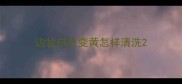 边牧白毛变黄怎样清洗