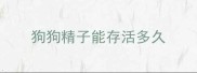 狗狗精子能存活多久