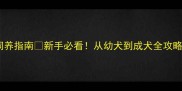 家养纯种拉布拉多犬保姆级饲养指南新手必看从幼犬到成犬全攻略附训练饮食健康避坑清单