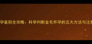 金毛受孕鉴别全攻略科学判断金毛怀孕的五大方法与注意事项